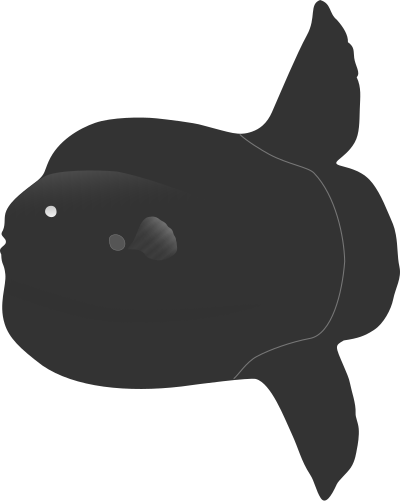 Bump-head Sunfish clipart