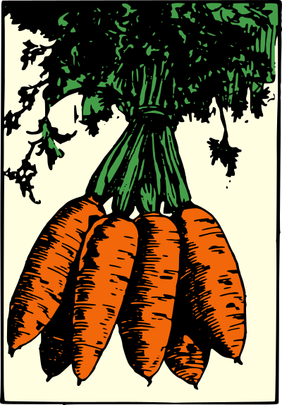 Bunch of Carrots - Colour clipart