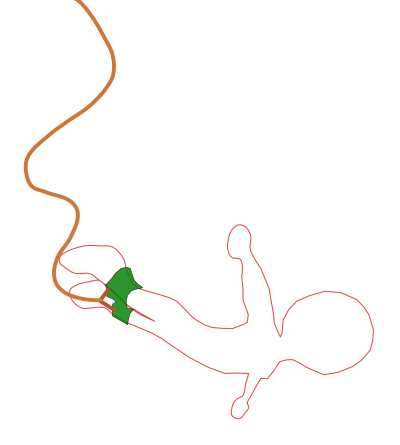 Bungee Jumping clipart