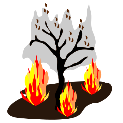 Burning forests clipart
