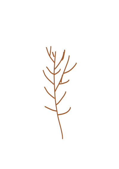 Bush clipart