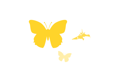 Butterflies clipart