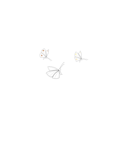 Butterflies Schmetterlinge clipart