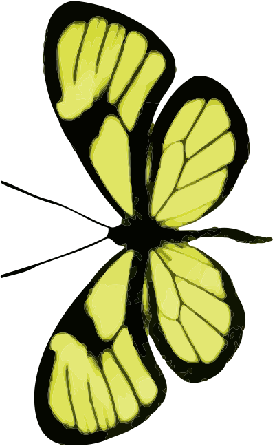 Butterfly 11 clipart