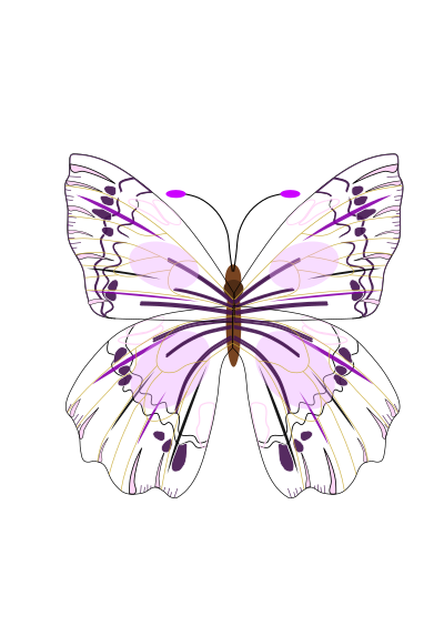 Butterfly clipart