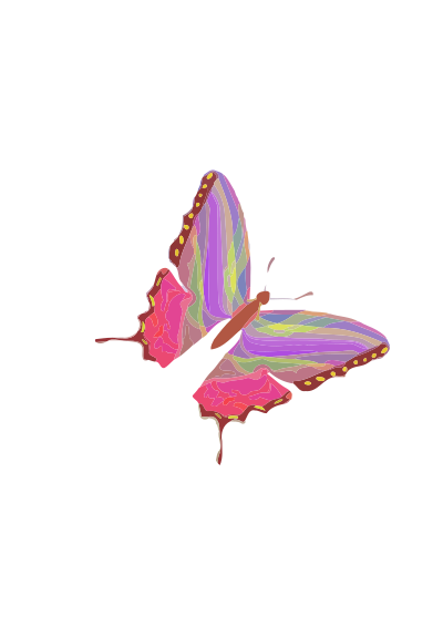 Butterfly clipart
