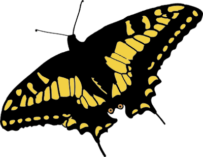 Butterfly clipart