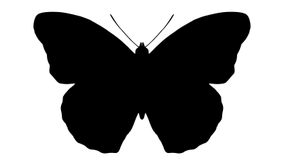 Butterfly 2 clipart
