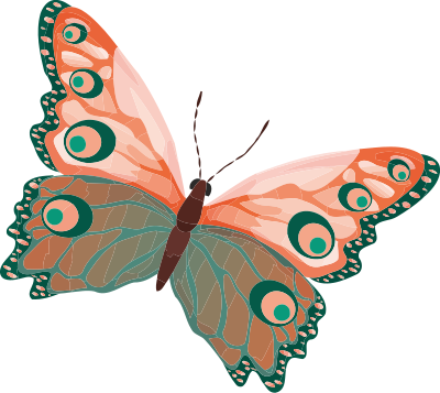 Butterfly 2 (colour) clipart