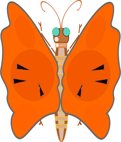 Butterfly clipart