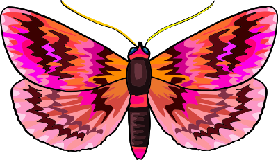 Butterfly 23 clipart