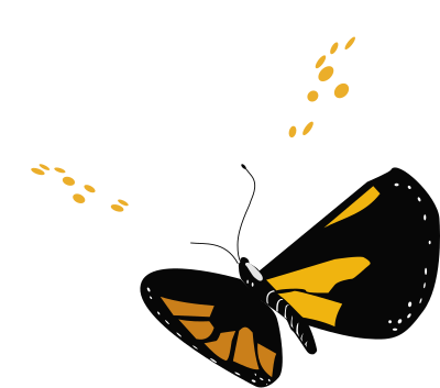 Butterfly clipart