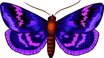Butterfly 29 clipart