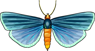 Butterfly 30 clipart
