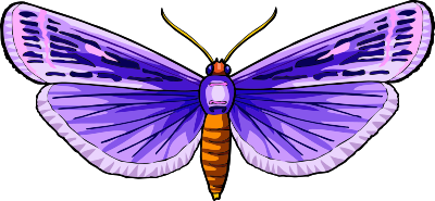 Butterfly 31 clipart