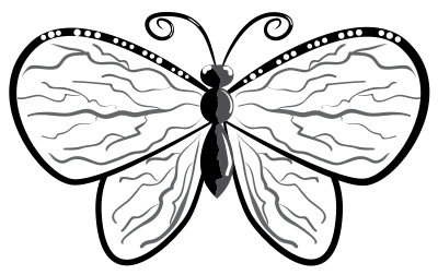 Butterfly clipart