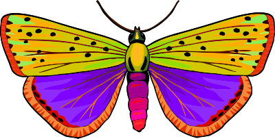 Butterfly 32 clipart
