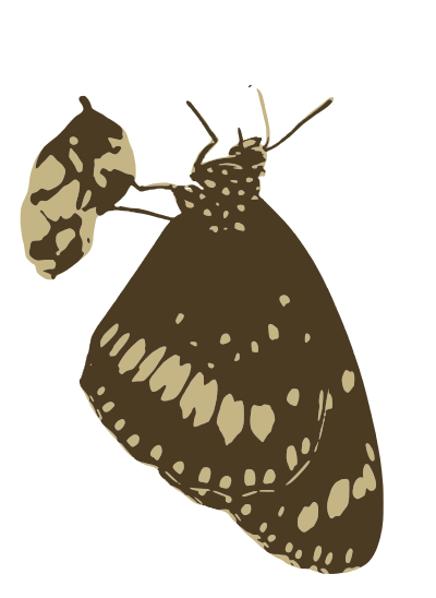 Butterfly clipart