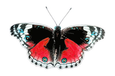 Butterfly 6 clipart