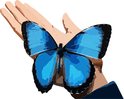 Butterfly in a Hand clipart