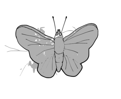 Butterfly (line art) clipart