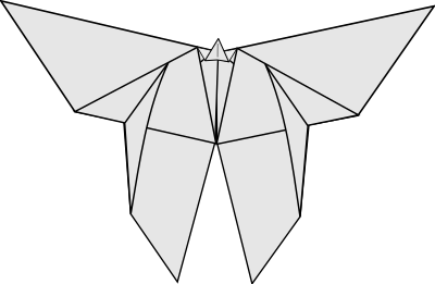 Butterfly no shadow clipart