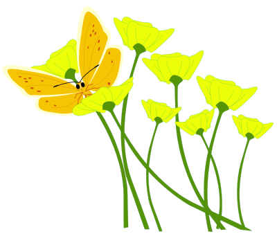 Butterfly on a button or clipart