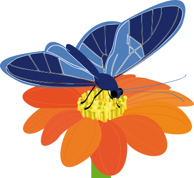Butterfly on a flower clipart