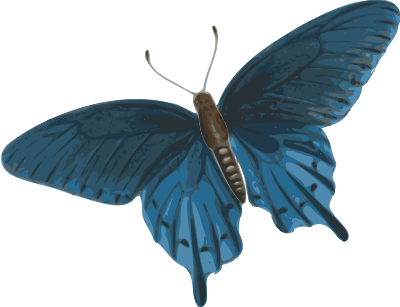 Butterfly (papilio philenor) - top clipart