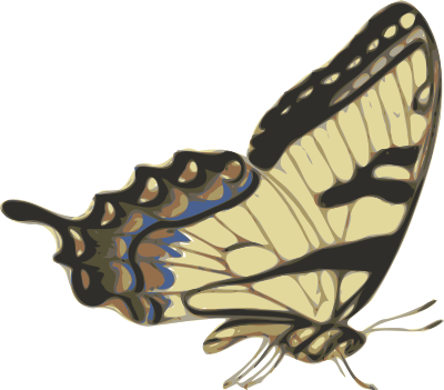 Butterfly (papilio turnus) side view clipart