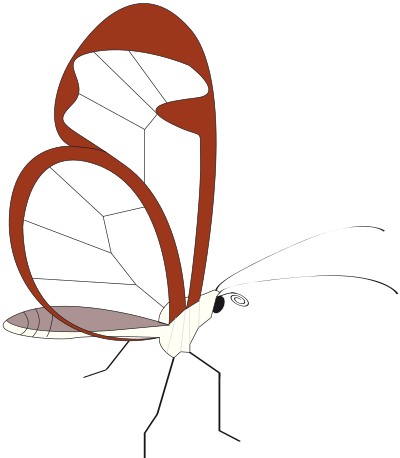 Butterfly papillon clipart