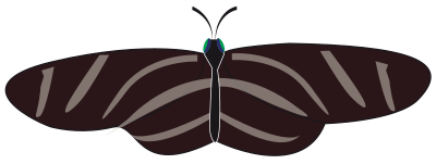 Butterfly zebra long wing clipart