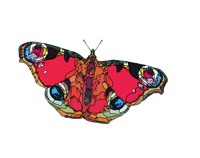 Butterfly2 clipart