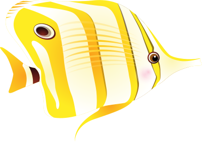 Butterflyfish clipart