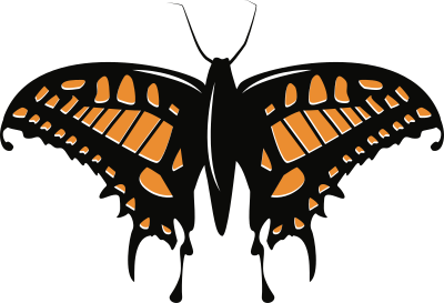 Butterfy clipart