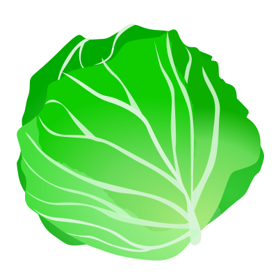 Cabbage clipart