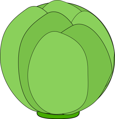 Cabbage clipart