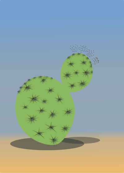 Cactus clipart