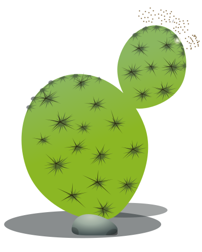 Cactus clipart