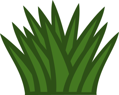 Cactus clipart