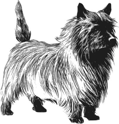 Cairn terrier clipart