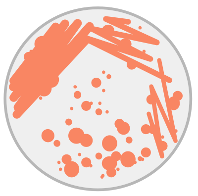 Caja petri clipart