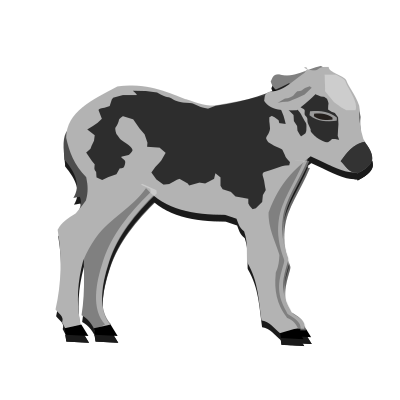 Calf clipart
