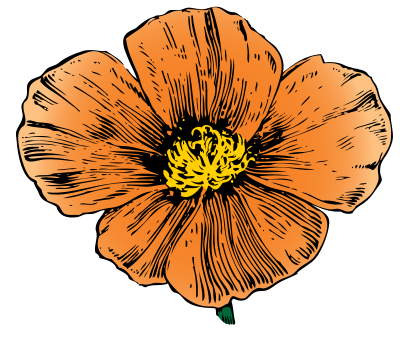 California Poppy clipart