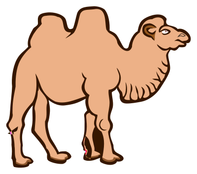 Camel - coloured clipart