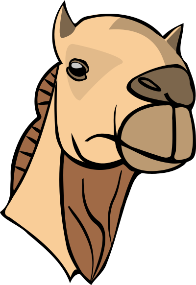 Camel head clipart