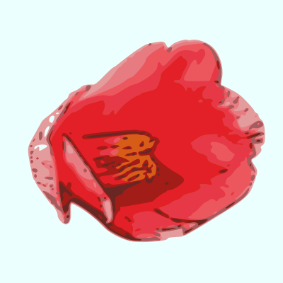 Camellia clipart