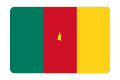 Cameroon flag (bevelled) clipart