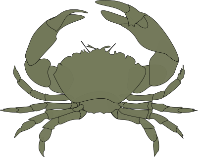Cangrejo clipart