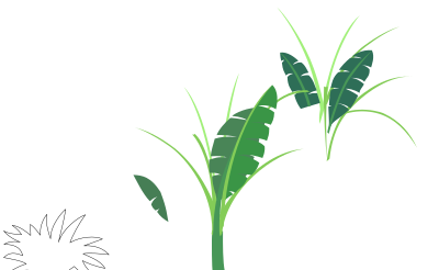 Cảnh Rừng 1 clipart